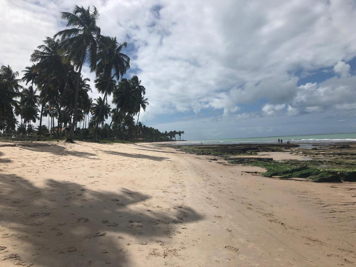 Apartment Flat No Carneiros Tamandare
